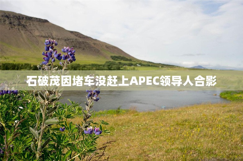 石破茂因堵车没赶上APEC领导人合影