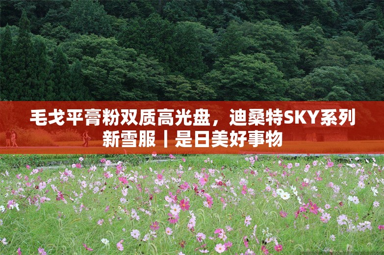 毛戈平膏粉双质高光盘，迪桑特SKY系列新雪服｜是日美好事物