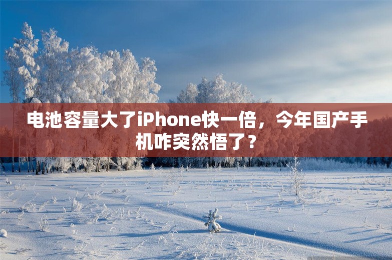 电池容量大了iPhone快一倍，今年国产手机咋突然悟了？