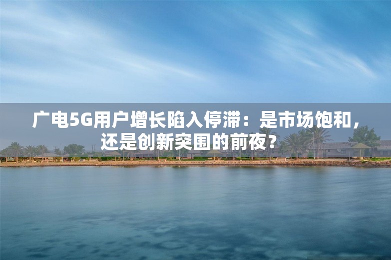 广电5G用户增长陷入停滞：是市场饱和，还是创新突围的前夜？ 