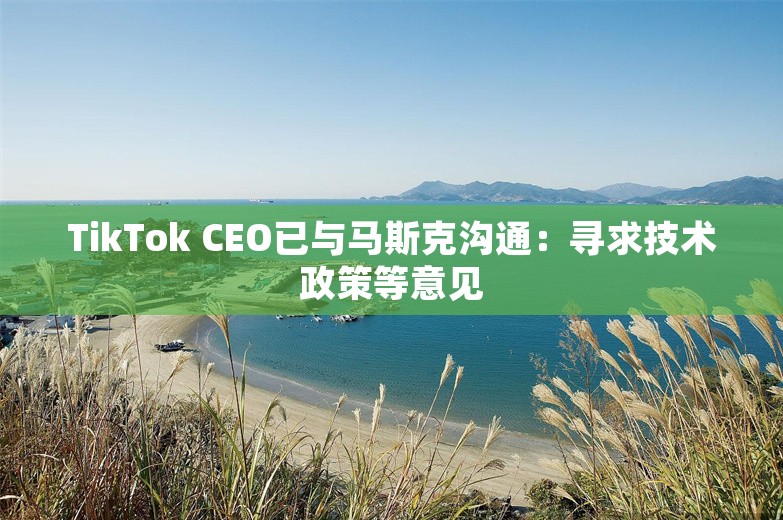 TikTok CEO已与马斯克沟通：寻求技术政策等意见