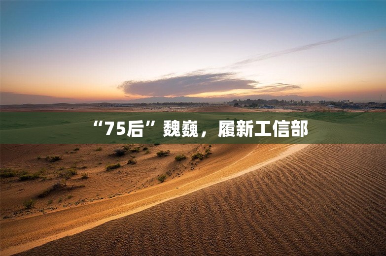 “75后”魏巍，履新工信部