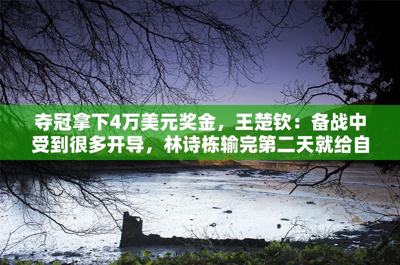 夺冠拿下4万美元奖金，王楚钦：备战中受到很多开导，林诗栋输完第二天就给自己陪练