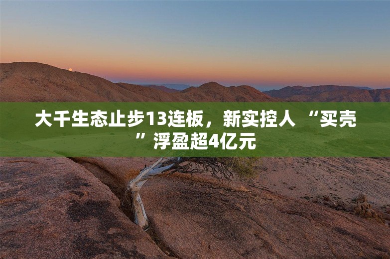 大千生态止步13连板，新实控人 “买壳”浮盈超4亿元