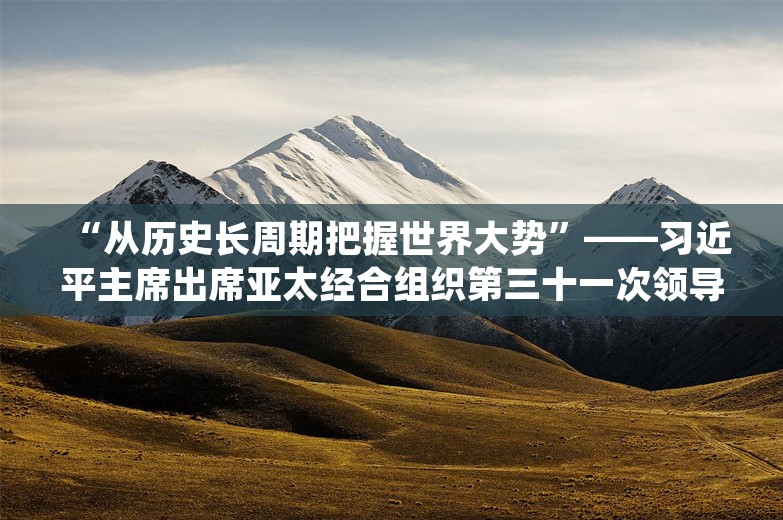 “从历史长周期把握世界大势”——习近平主席出席亚太经合组织第三十一次领导人非正式会议并对秘鲁进行国事访问纪实