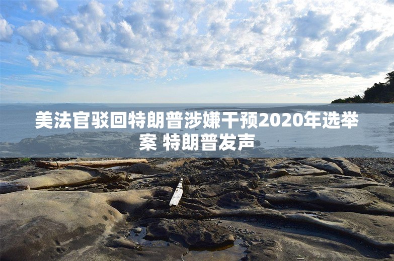 美法官驳回特朗普涉嫌干预2020年选举案 特朗普发声