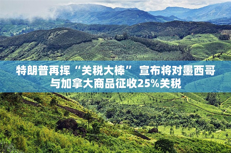 特朗普再挥“关税大棒” 宣布将对墨西哥与加拿大商品征收25%关税