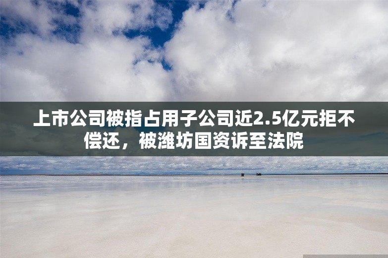 上市公司被指占用子公司近2.5亿元拒不偿还，被潍坊国资诉至法院