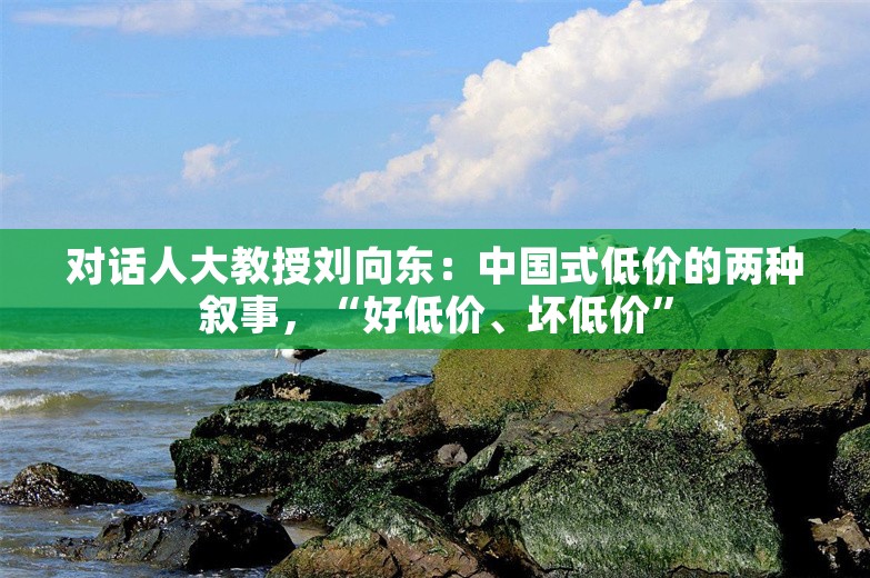 对话人大教授刘向东：中国式低价的两种叙事，“好低价、坏低价”