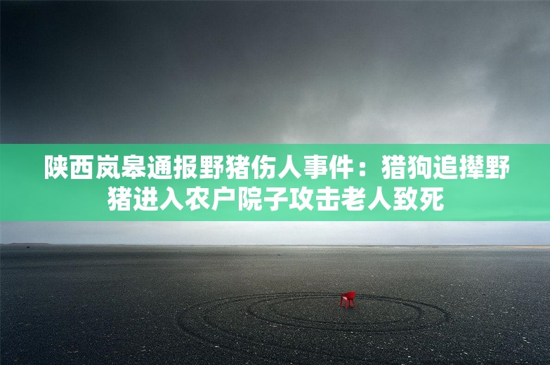 陕西岚皋通报野猪伤人事件：猎狗追撵野猪进入农户院子攻击老人致死