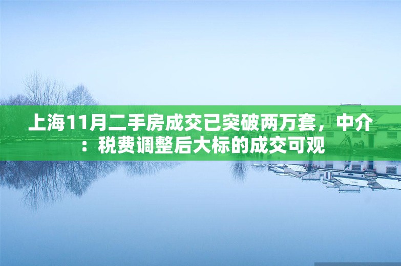 上海11月二手房成交已突破两万套，中介：税费调整后大标的成交可观