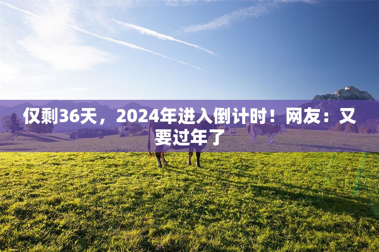 仅剩36天，2024年进入倒计时！网友：又要过年了