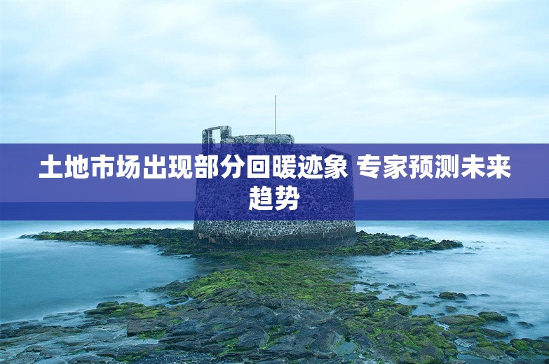 土地市场出现部分回暖迹象 专家预测未来趋势