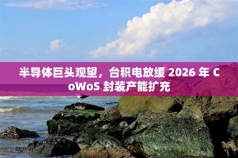 半导体巨头观望，台积电放缓 2026 年 CoWoS 封装产能扩充