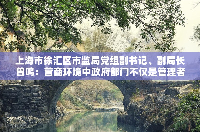 上海市徐汇区市监局党组副书记、副局长曾鸣：营商环境中政府部门不仅是管理者，还要是护航者｜大咖聊营商