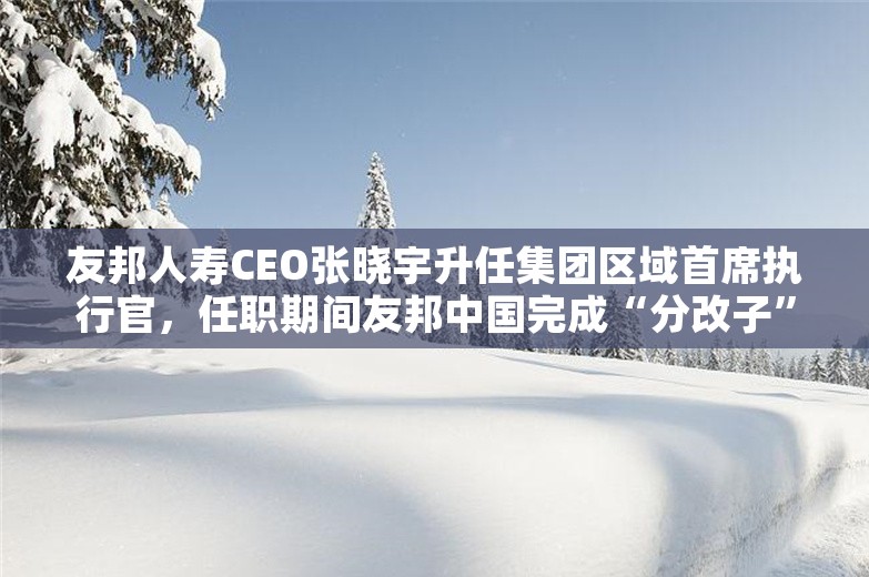 友邦人寿CEO张晓宇升任集团区域首席执行官，任职期间友邦中国完成“分改子”