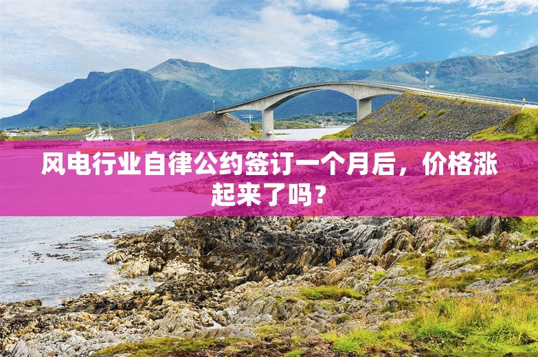 风电行业自律公约签订一个月后，价格涨起来了吗？