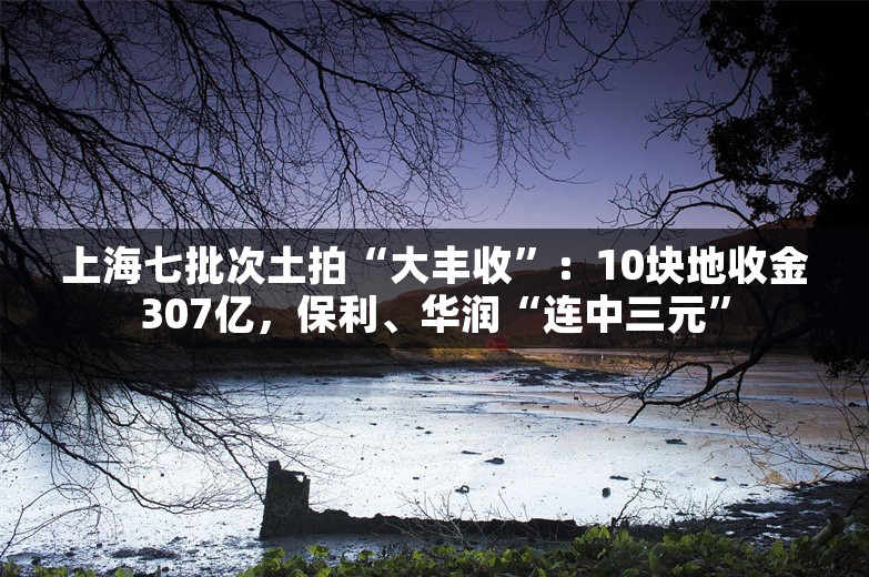 上海七批次土拍“大丰收”：10块地收金307亿，保利、华润“连中三元”