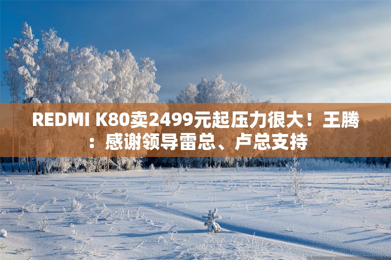 REDMI K80卖2499元起压力很大！王腾：感谢领导雷总、卢总支持