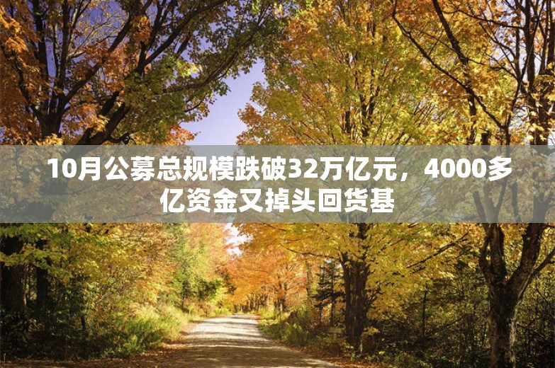 10月公募总规模跌破32万亿元，4000多亿资金又掉头回货基