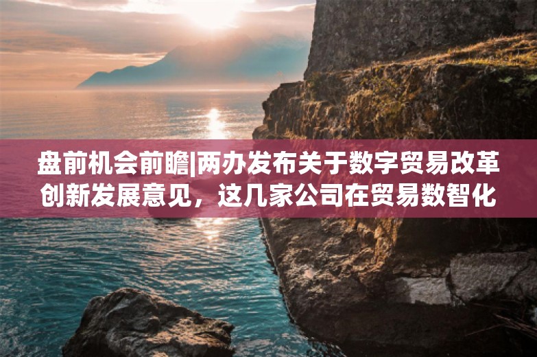 盘前机会前瞻|两办发布关于数字贸易改革创新发展意见，这几家公司在贸易数智化和跨境贸易生态建设方面国内领先有望受益（附概念股）