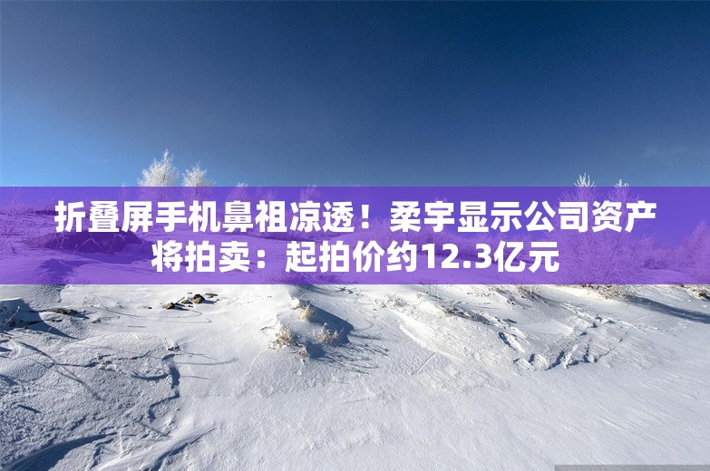 折叠屏手机鼻祖凉透！柔宇显示公司资产将拍卖：起拍价约12.3亿元