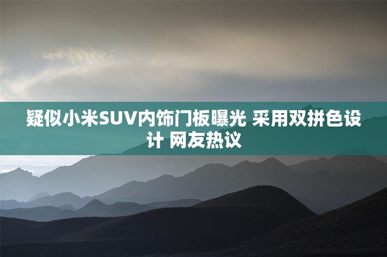 疑似小米SUV内饰门板曝光 采用双拼色设计 网友热议