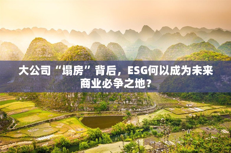 大公司“塌房”背后，ESG何以成为未来商业必争之地？