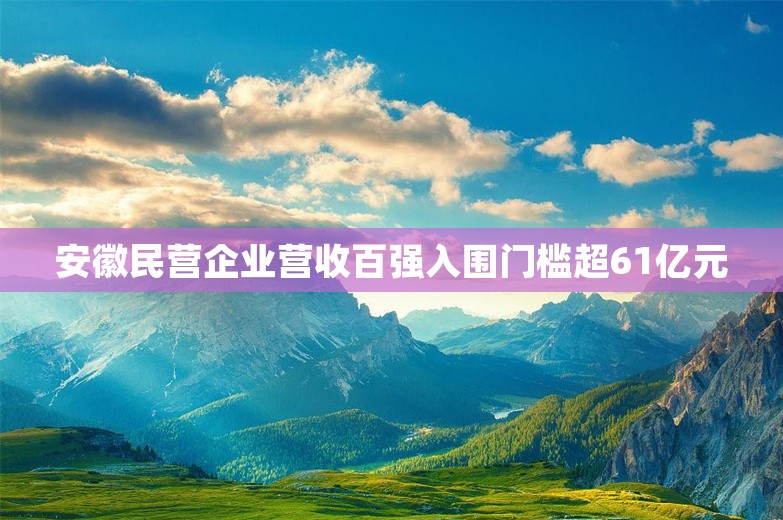 安徽民营企业营收百强入围门槛超61亿元