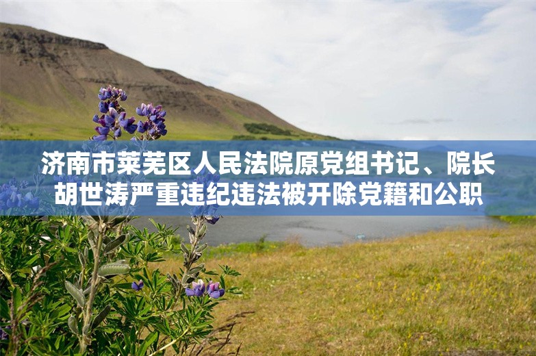 济南市莱芜区人民法院原党组书记、院长胡世涛严重违纪违法被开除党籍和公职