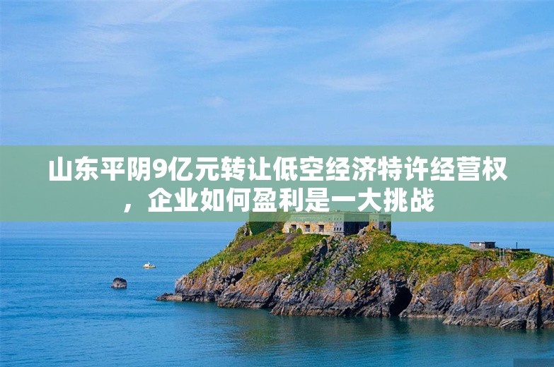 山东平阴9亿元转让低空经济特许经营权，企业如何盈利是一大挑战