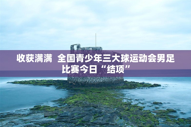 收获满满  全国青少年三大球运动会男足比赛今日“结项”