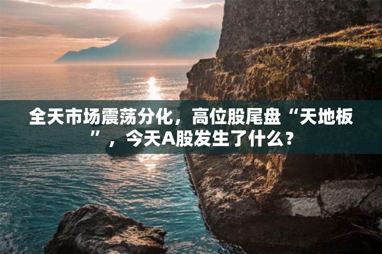 全天市场震荡分化，高位股尾盘“天地板”，今天A股发生了什么？