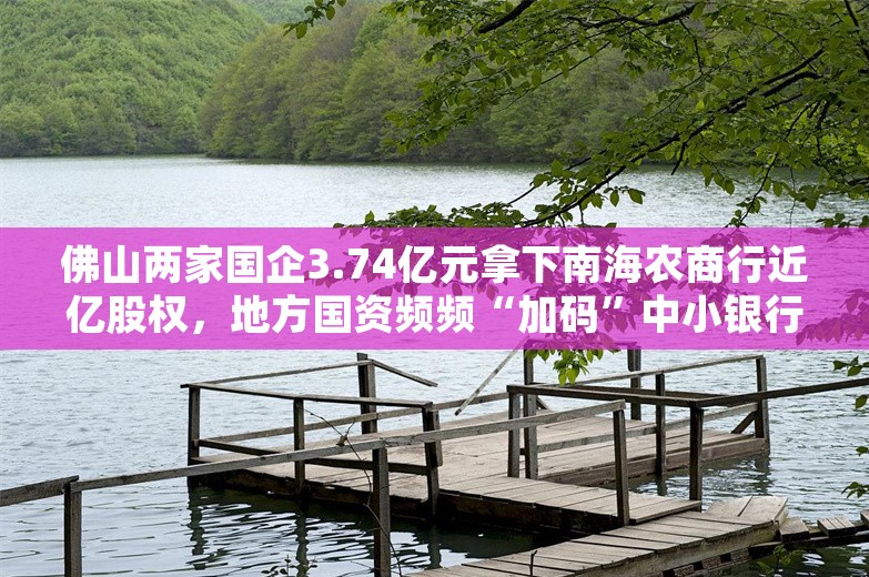 佛山两家国企3.74亿元拿下南海农商行近亿股权，地方国资频频“加码”中小银行