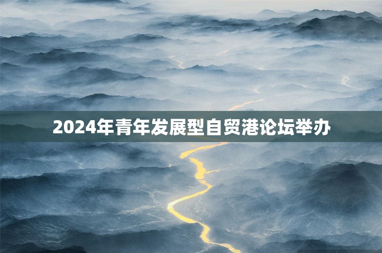 2024年青年发展型自贸港论坛举办