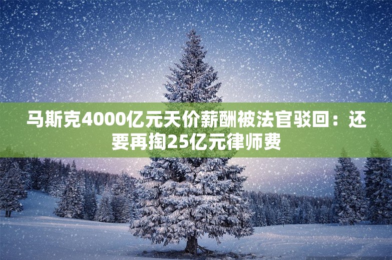 马斯克4000亿元天价薪酬被法官驳回：还要再掏25亿元律师费