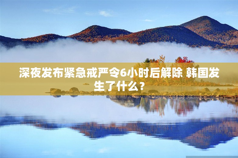 深夜发布紧急戒严令6小时后解除 韩国发生了什么？