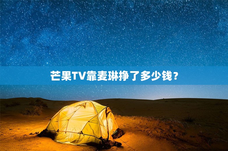 芒果TV靠麦琳挣了多少钱？