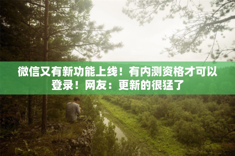 微信又有新功能上线！有内测资格才可以登录！网友：更新的很猛了