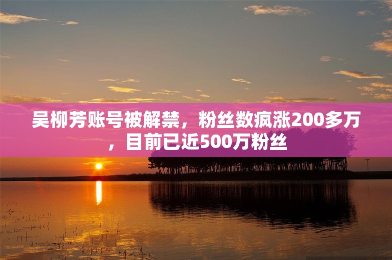 吴柳芳账号被解禁，粉丝数疯涨200多万，目前已近500万粉丝