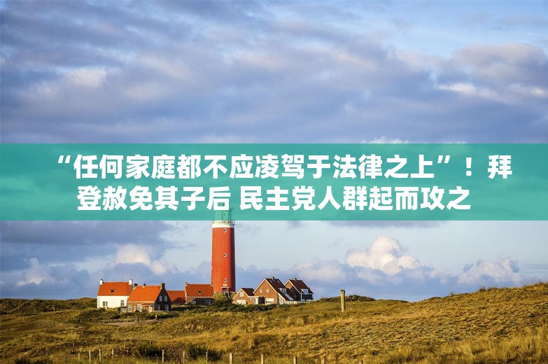 “任何家庭都不应凌驾于法律之上”！拜登赦免其子后 民主党人群起而攻之