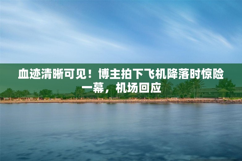 血迹清晰可见！博主拍下飞机降落时惊险一幕，机场回应