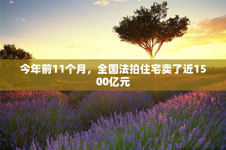 今年前11个月，全国法拍住宅卖了近1500亿元