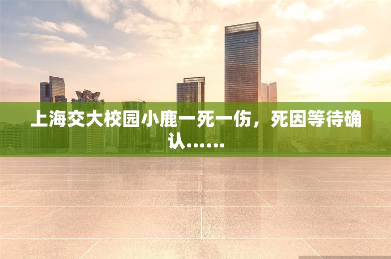 上海交大校园小鹿一死一伤，死因等待确认……