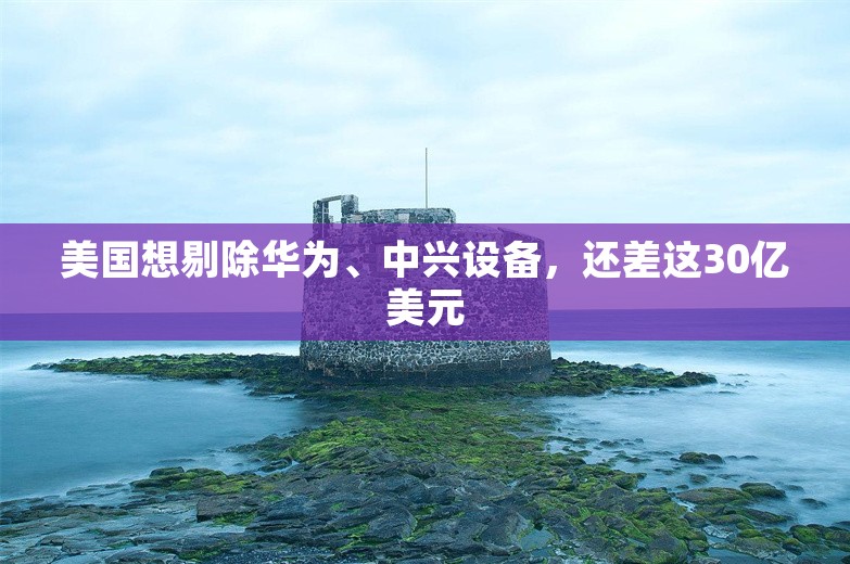 美国想剔除华为、中兴设备，还差这30亿美元