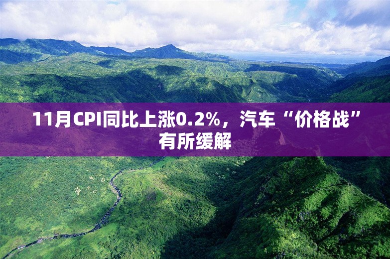 11月CPI同比上涨0.2%，汽车“价格战”有所缓解