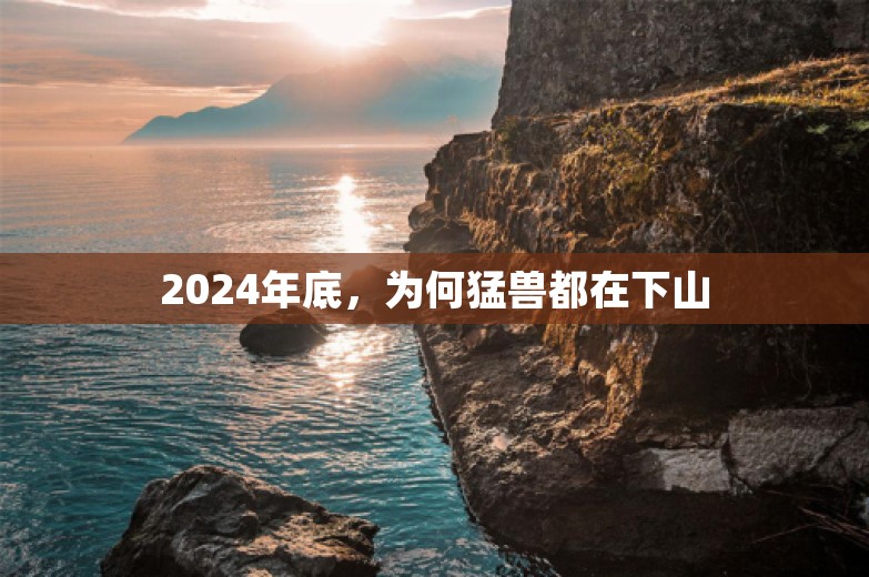 2024年底，为何猛兽都在下山