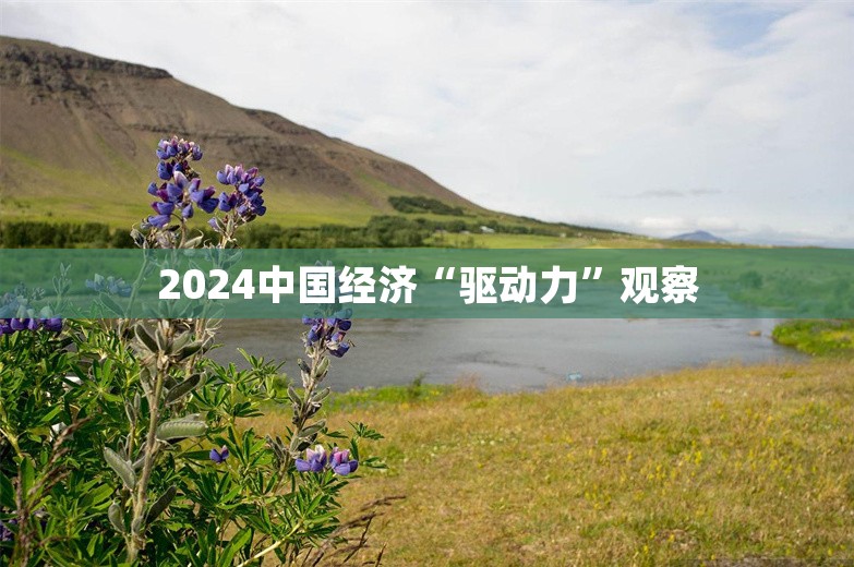 2024中国经济“驱动力”观察