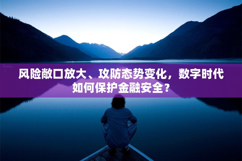 风险敞口放大、攻防态势变化，数字时代如何保护金融安全？