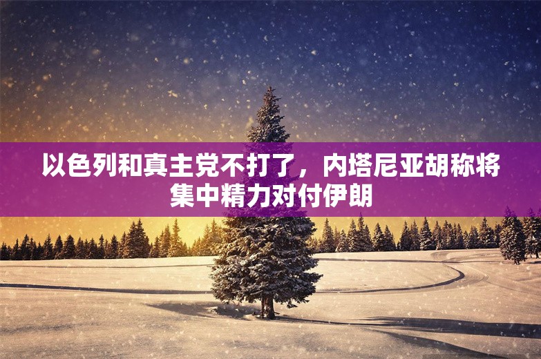 以色列和真主党不打了，内塔尼亚胡称将集中精力对付伊朗